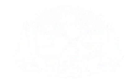 logo-light-trans250pxh-30pxp.webp